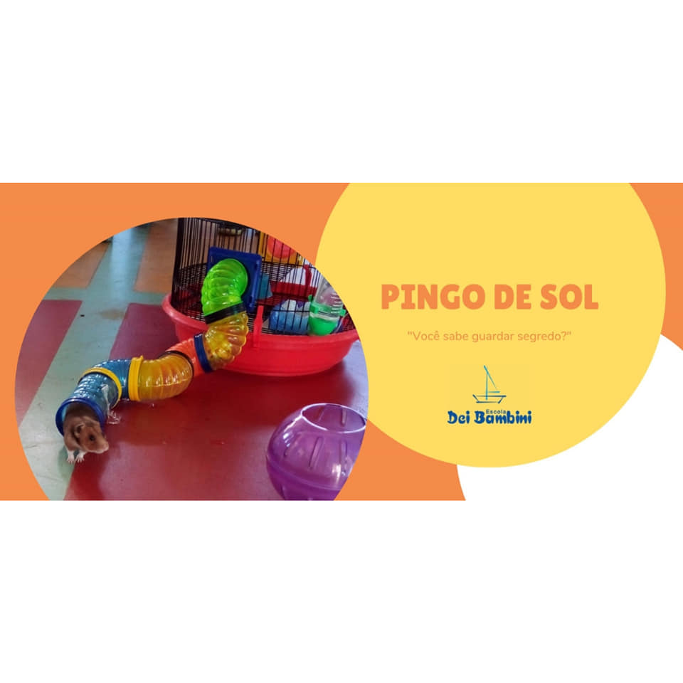 Pingo de Sol - Pré I